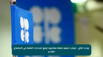 زيادة إنتاج.. أوبك+ تجهز لخطة مفاجئة لرفع إمدادات النفط في الاجتماع القادم